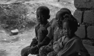 donation cta three
