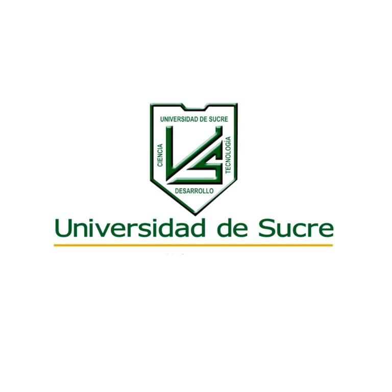 Diseño sin título